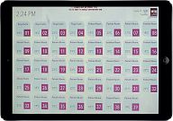 iRidium-based project (Medicare Women and Children Hospital). Control interface